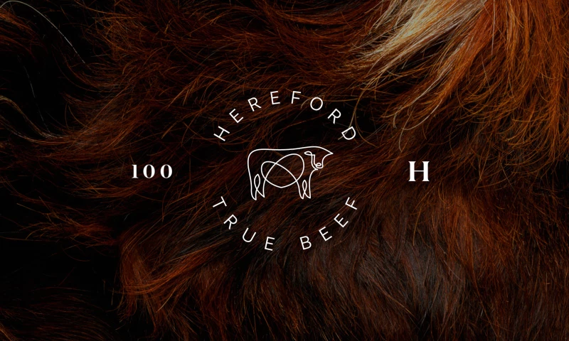 Hereford True Beef