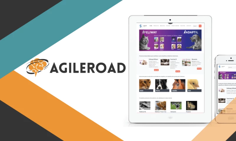 Agileroad - Sinervia