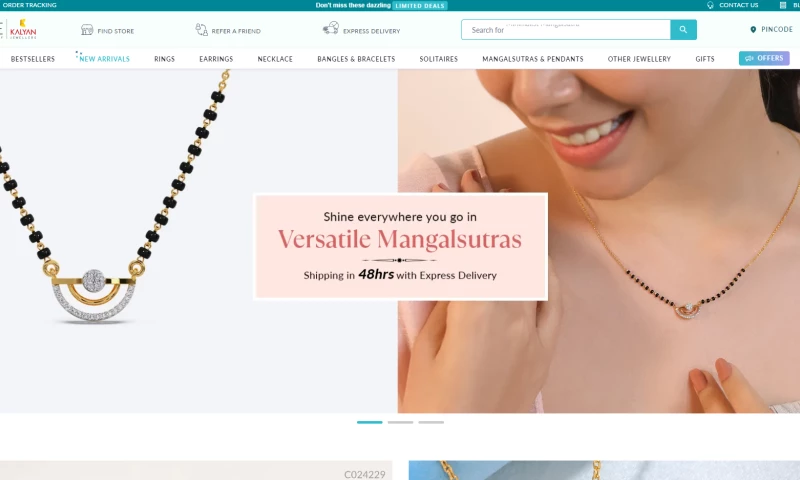 Ecommerce Development