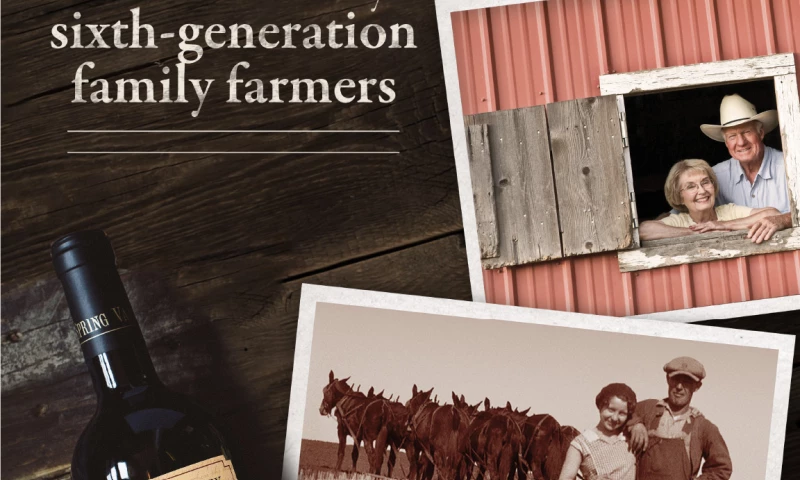 Chateau Ste Michelle Creative Content