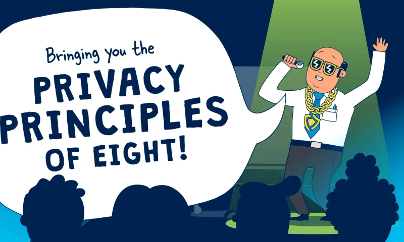 BRG Data Privacy Principles Rap