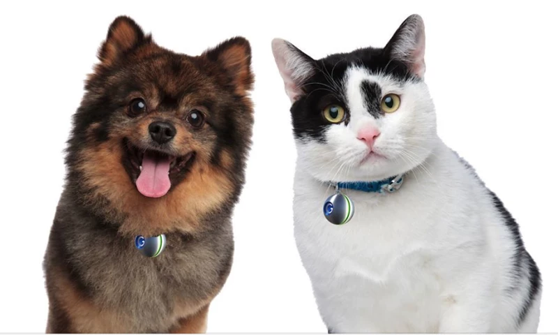 EasyIOT - LoRa Pet Tracker