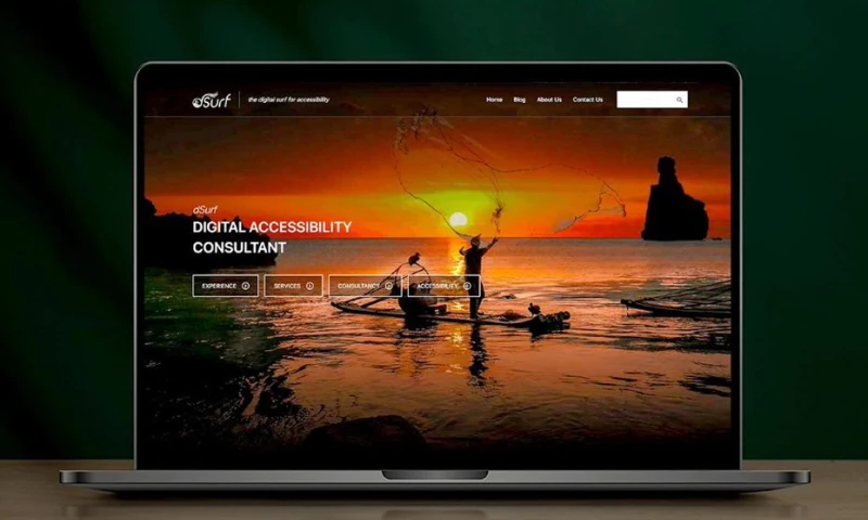 dSurf Web Development
