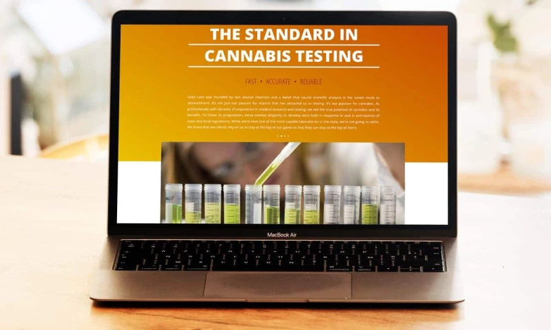 GobiLabs’ Website Development