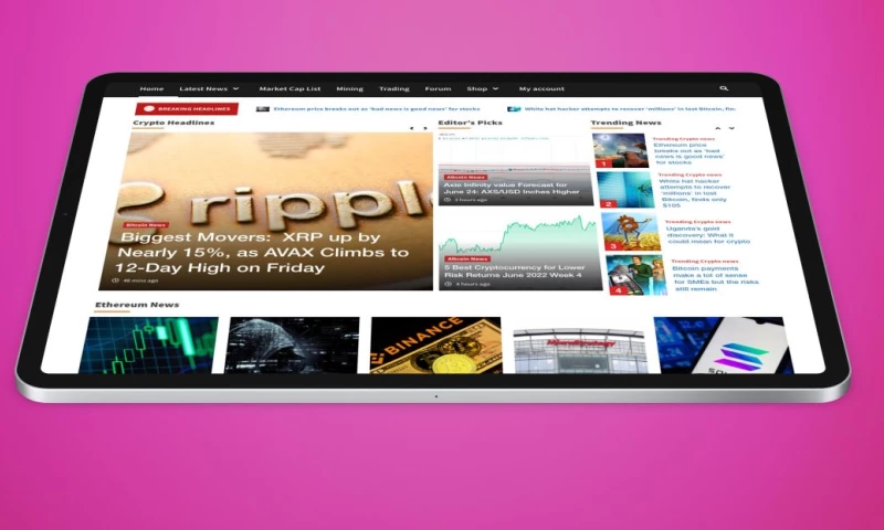 Brand Identity World Crypto News