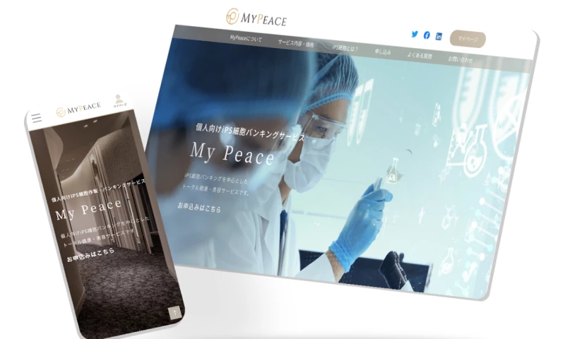 Develop a web-based business system and website