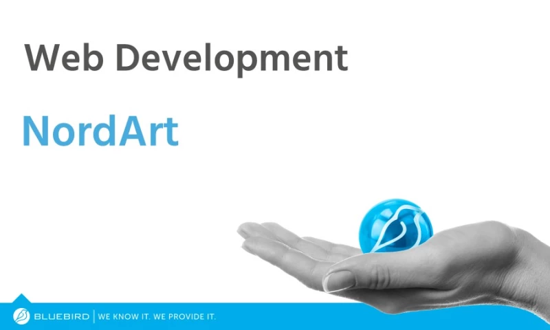 Nordart Case Study: Online Store Development