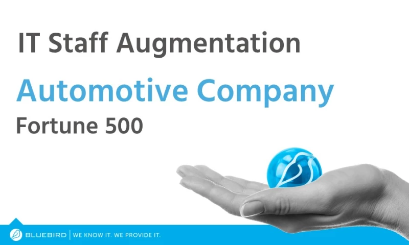 Bluebird International - Fortune-500 Automotive Company: Case Study Summary