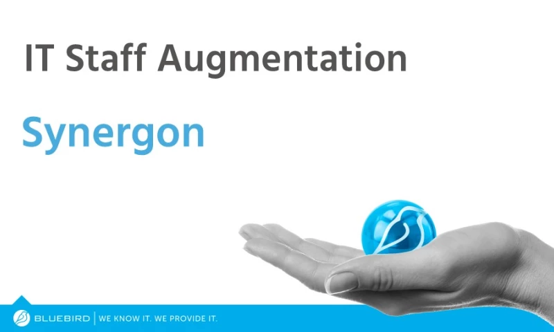 Bluebird International - Case Study ($4.2 million) - IT Staff Augmentation