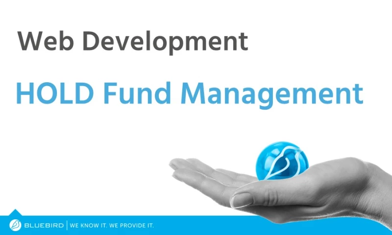 Website Development and Blog Migration for HOLD Asset Management