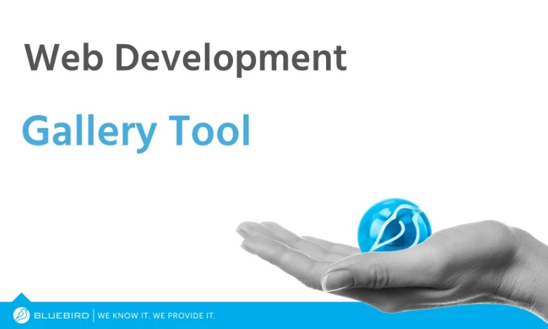 Website Development Case Study