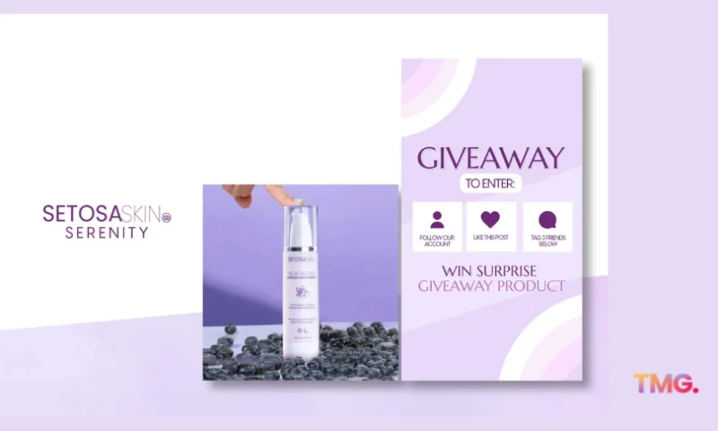 The MediaGale - Setosa Skin