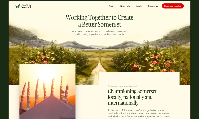 Ohana Studio - Passion for Somerset