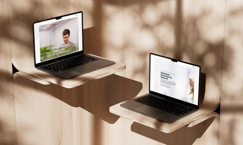 Rootless Agency - Rhize