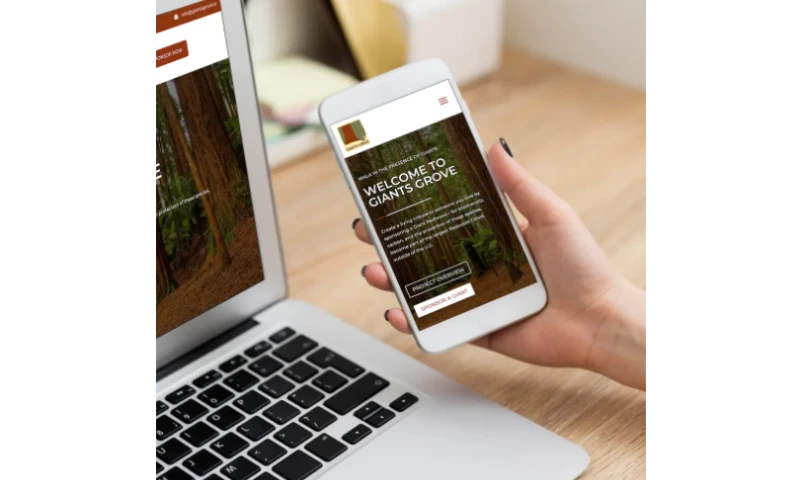 SEOWizard - Forestry Company