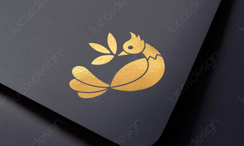 Lucas Design - JOKONI - TRADING COMPANY. BRUSSELS, BELGIUM