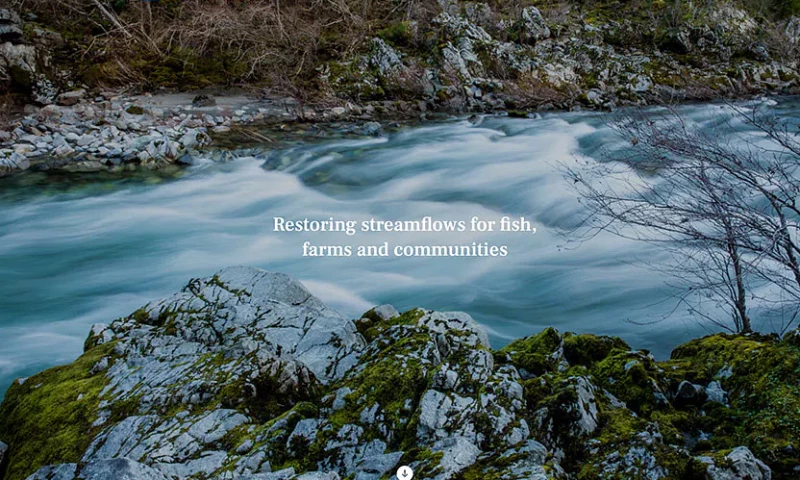 Xfive - Website redesign & relaunch for a TNC project