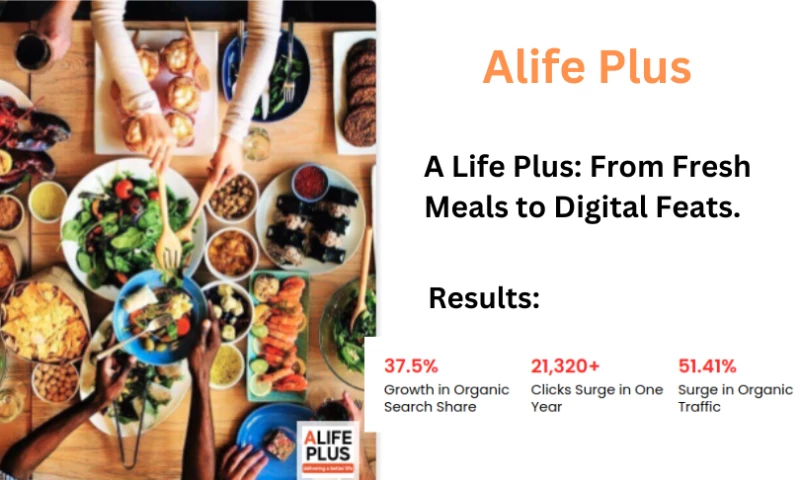 Webspero Solutions - SEO Case Study A Life Plus