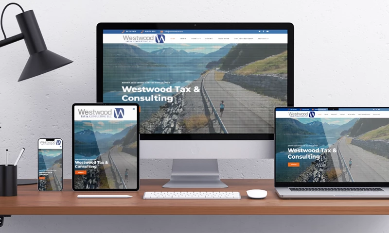 STL Website Development - Website Development And Copywriting For An International Tax Consulting Agency.