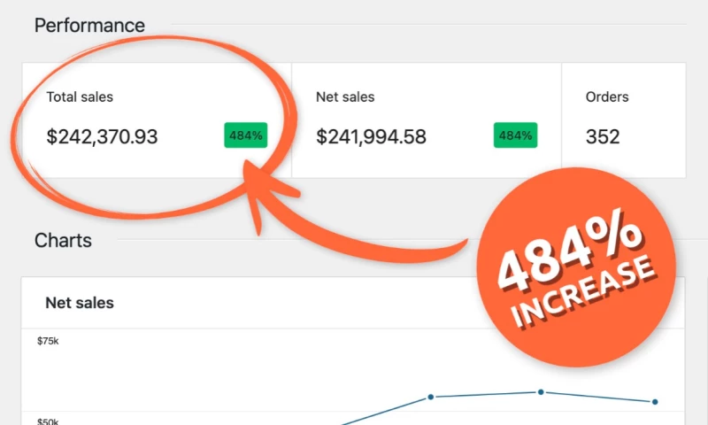 Business Triumph: 484% Sales Surge in 6 Months