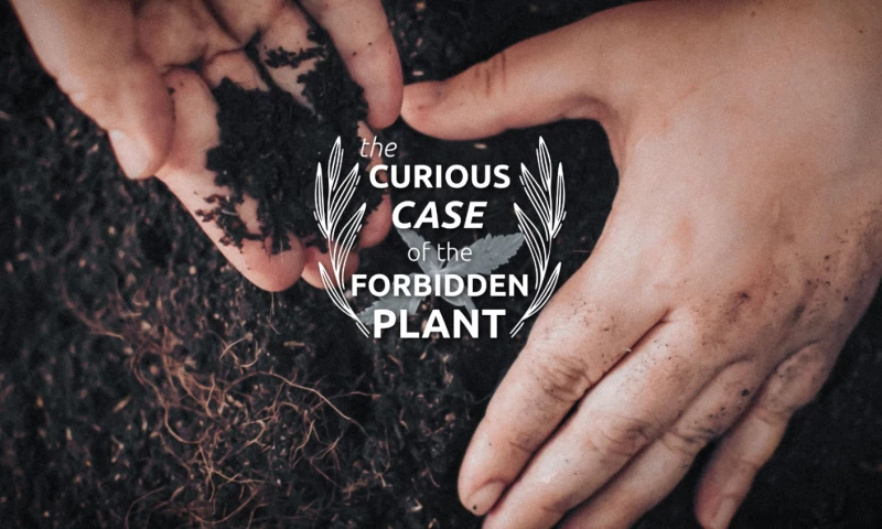 Unlocking $70M in Growth: A Digital Marketing Case