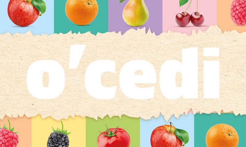 The Visual Identity of the Ocedi Brand