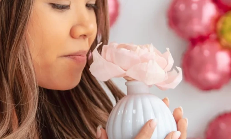 Grace Management Group Takes Flight: Soaring Sales and Streamlined Operations with the Makebecool growth services