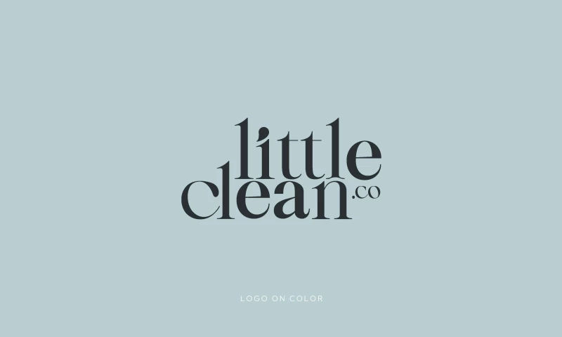 Little Clean Co. Brand Design
