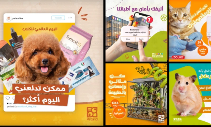 Above Limits - Petland