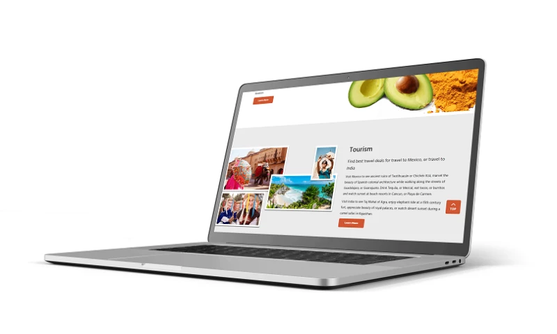 Elsner Technologies - INDMEX