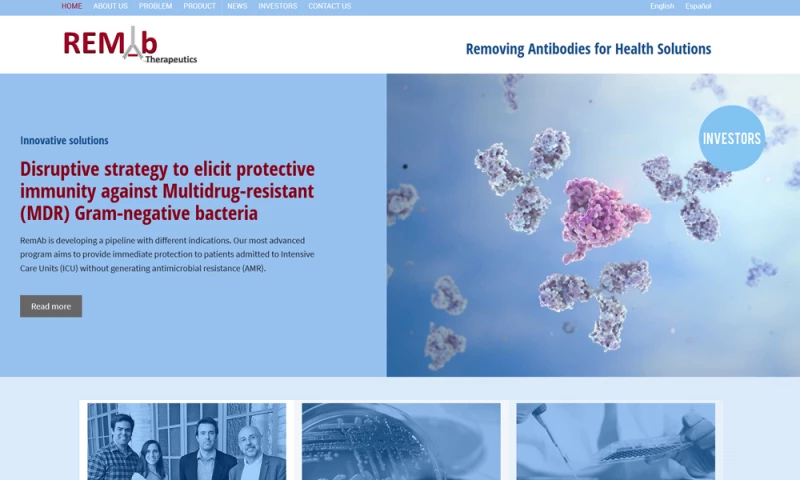 The Webmaster - REMAb