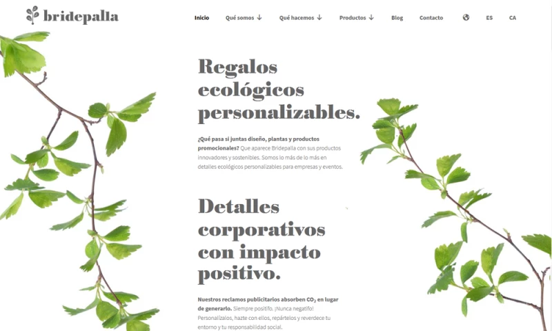 The Webmaster - Bridepalla