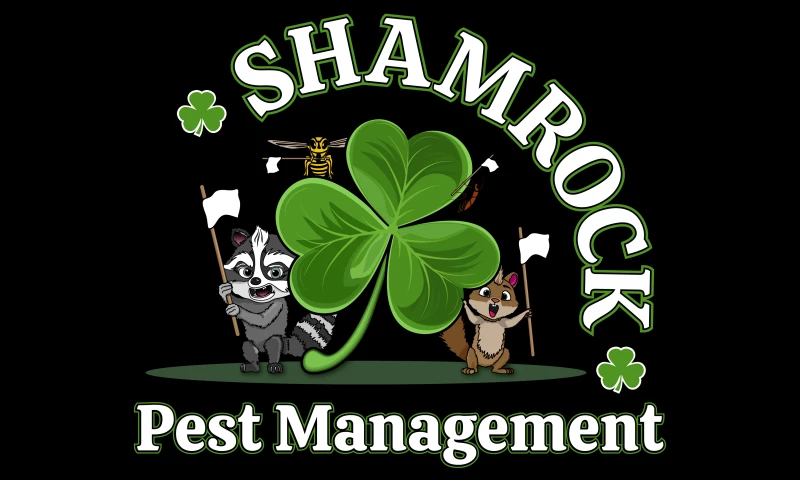 Comvert Marketing - Shamrock Pest Management
