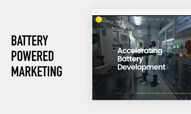 Storm Brain - Wildcat Discovery Technologies