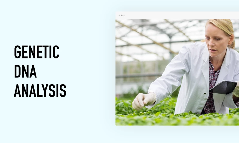 Storm Brain - 4D Nucleome Project | UCSD