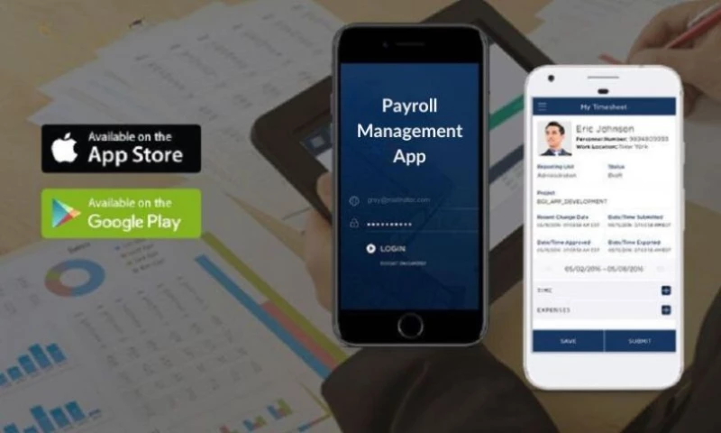 Matellio Inc. - Time & Expense: Payroll Management & Reporting Tool