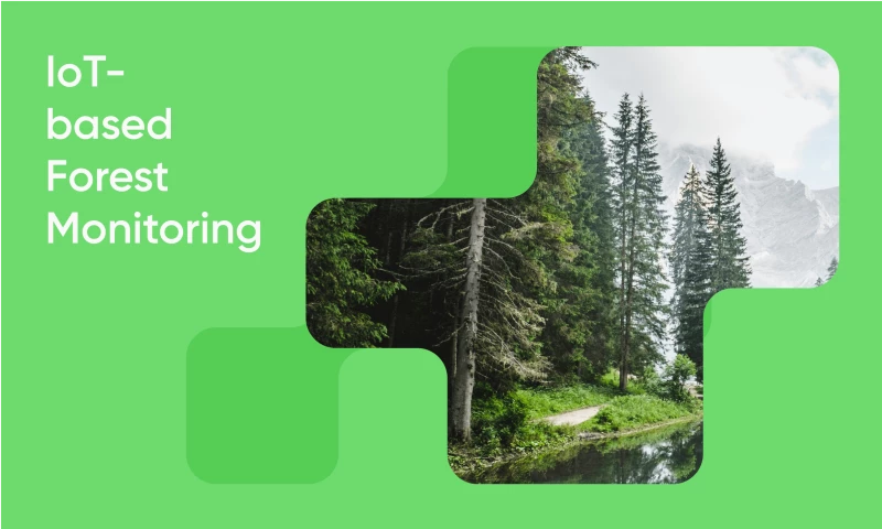 WaveAccess - IoT: Forest monitoring