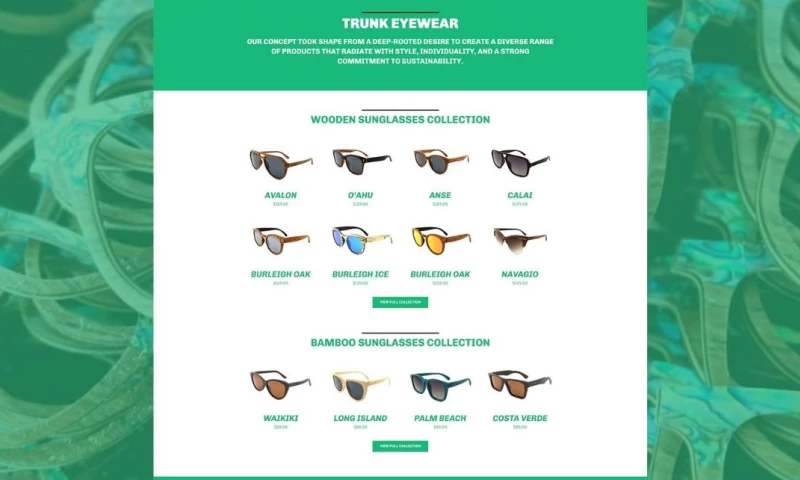 Parallax Creative Web Design - Trunk Eyewear