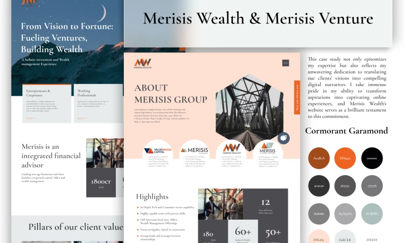 Merisis Advisors Pvt. Ltd.
