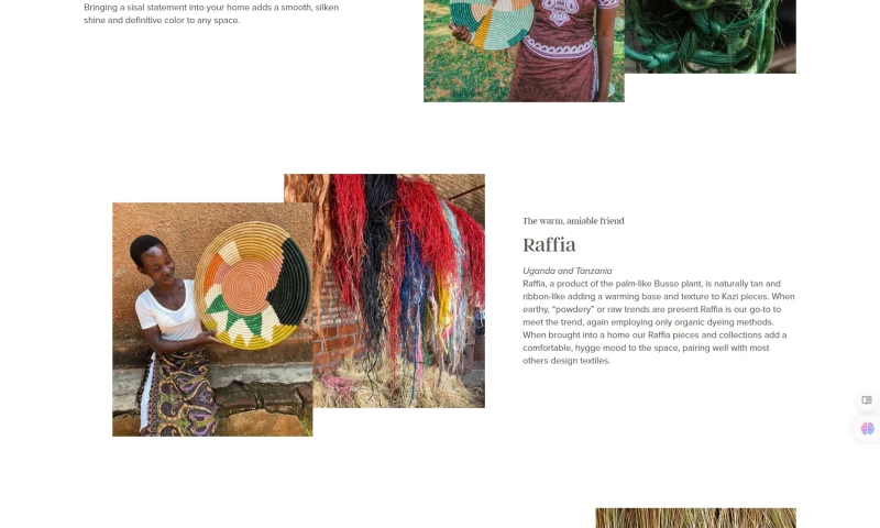 Website Design and Development