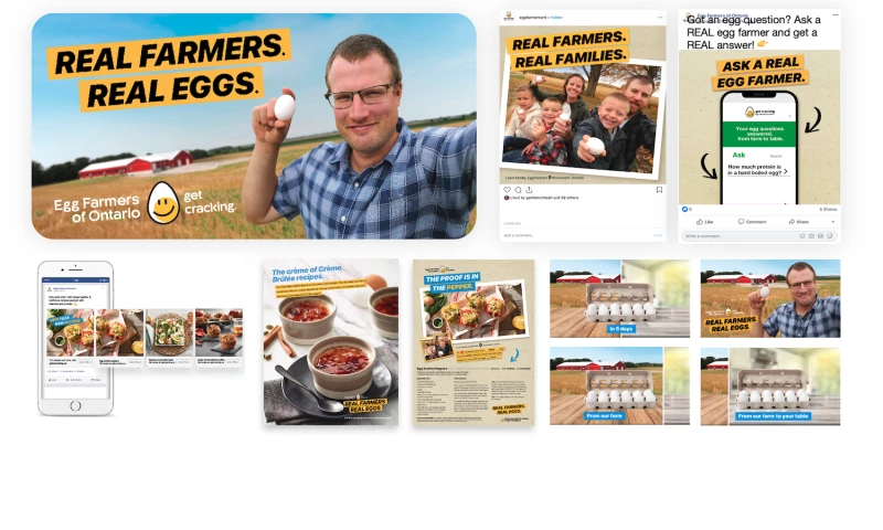 Egg Farmers: AOR Creative and Media