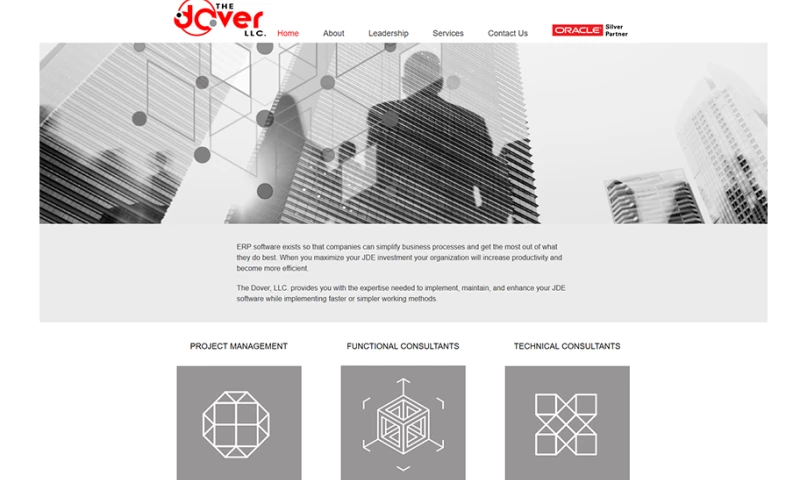 Logo and Website Design for a Software Company