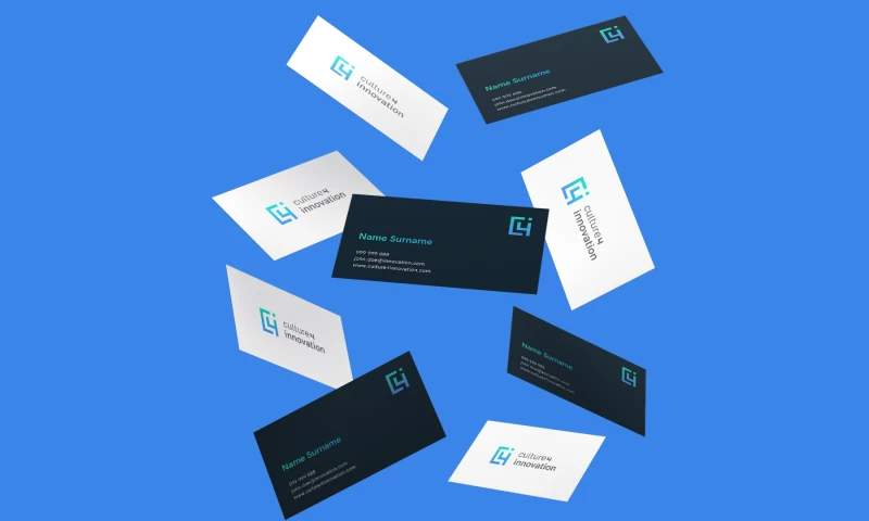 Red Brick - Culture 4 Innovation