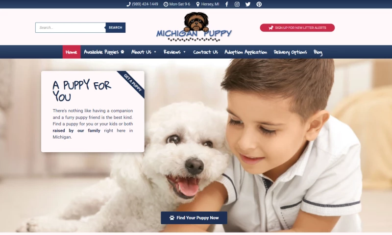 Troyer Websites - MIchigan Puppy