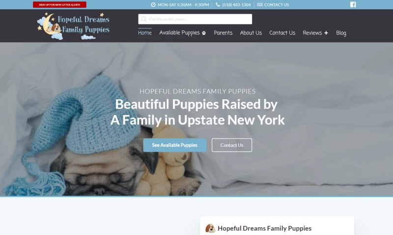 Troyer Websites - Hopeful Dreams Family Puppies