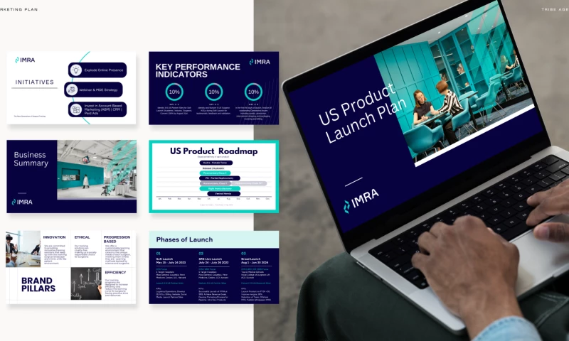 Our Client Portfolio 2023-24