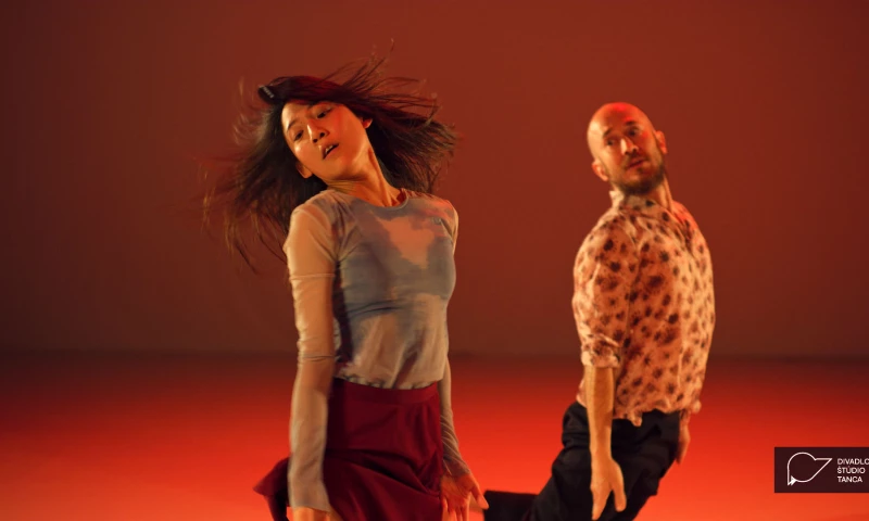 On-line campaign for Dance Studio Theatre