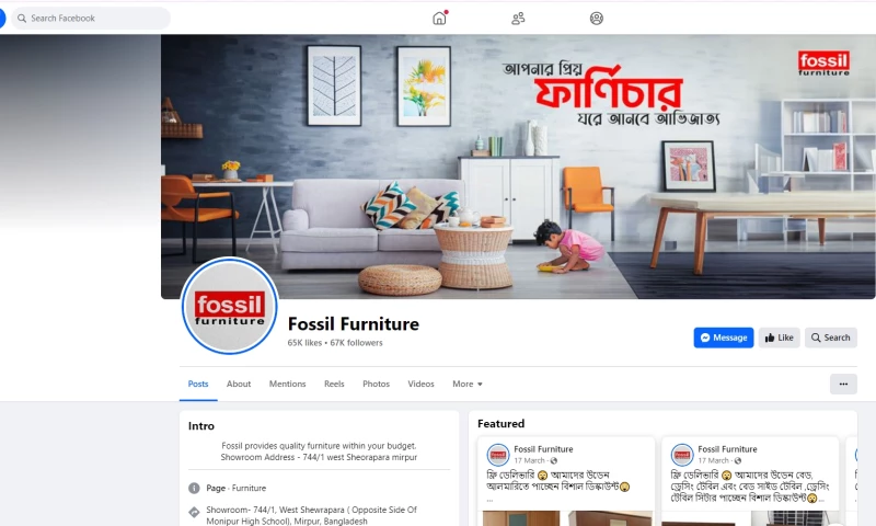 Fossil Furniture Digital Marketing, Video Editing and Web Development