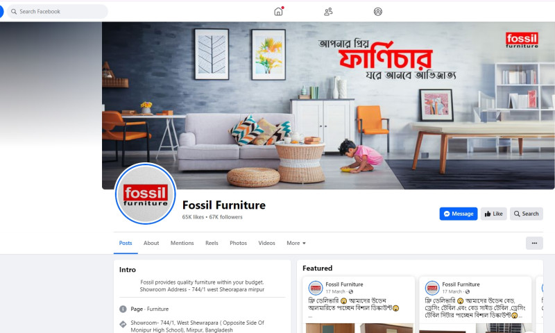 IMBD Agency - Fossil Furniture Digital Marketing, Video Editing and Web Development