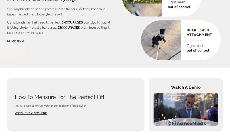 InnovaPixels - Shopify store development for waggy